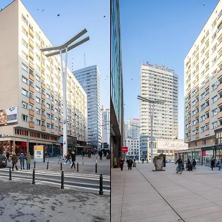 Rent Like - Zlota 11